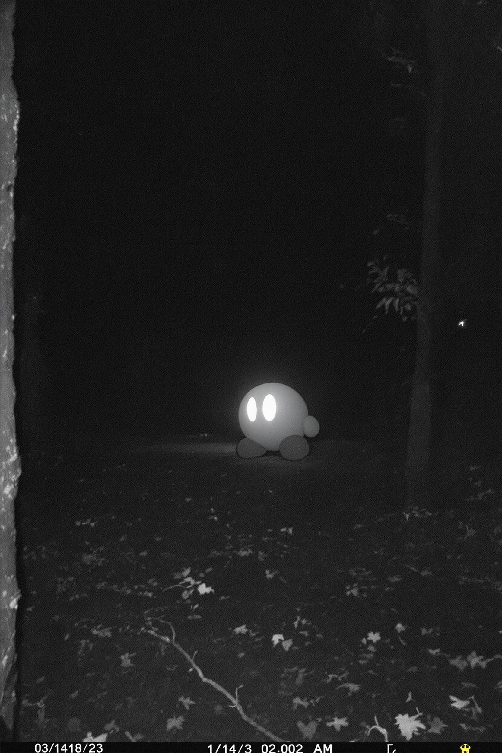 Kirby Caught On Trail Cam
