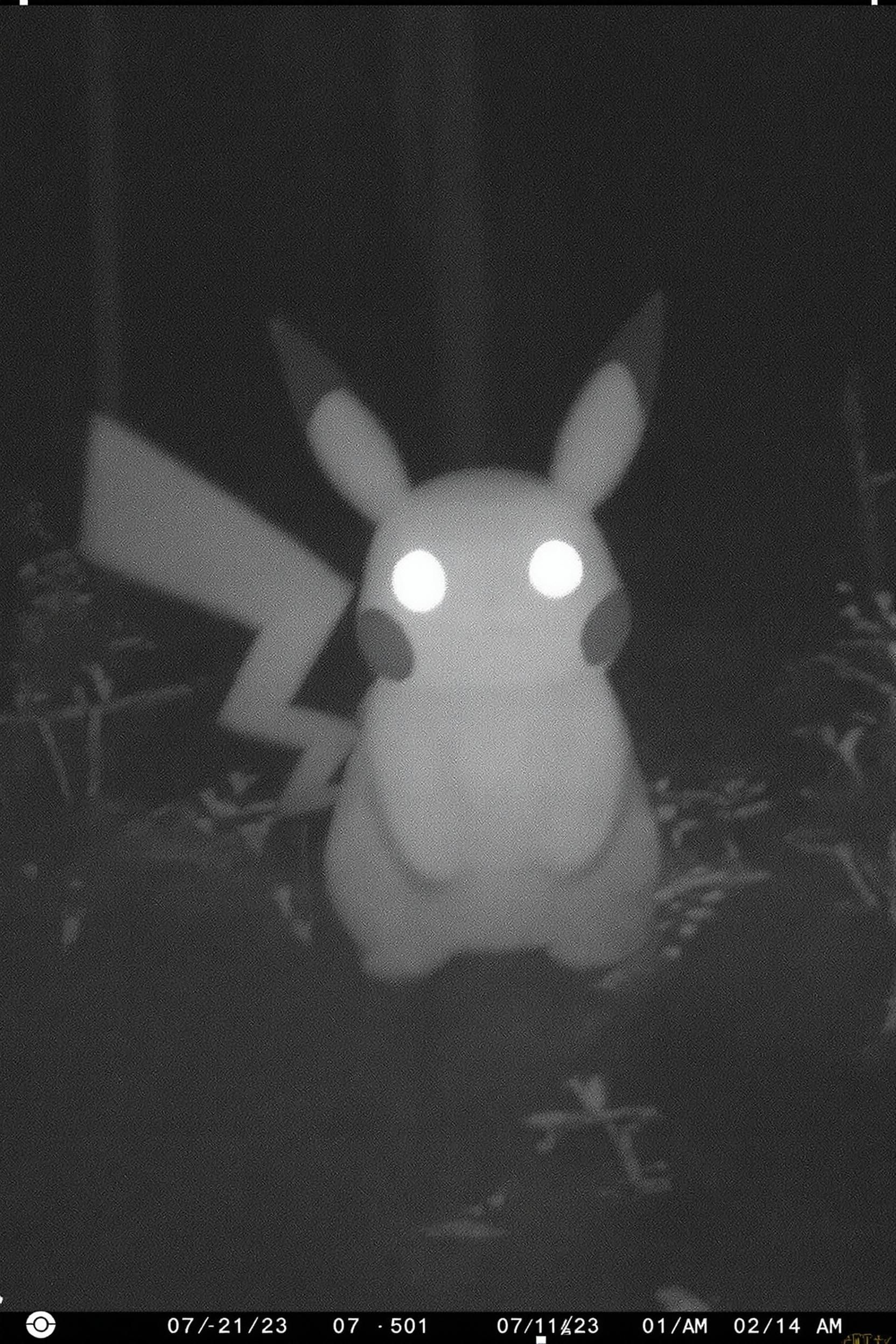 Pikachu Caught On Trail Cam