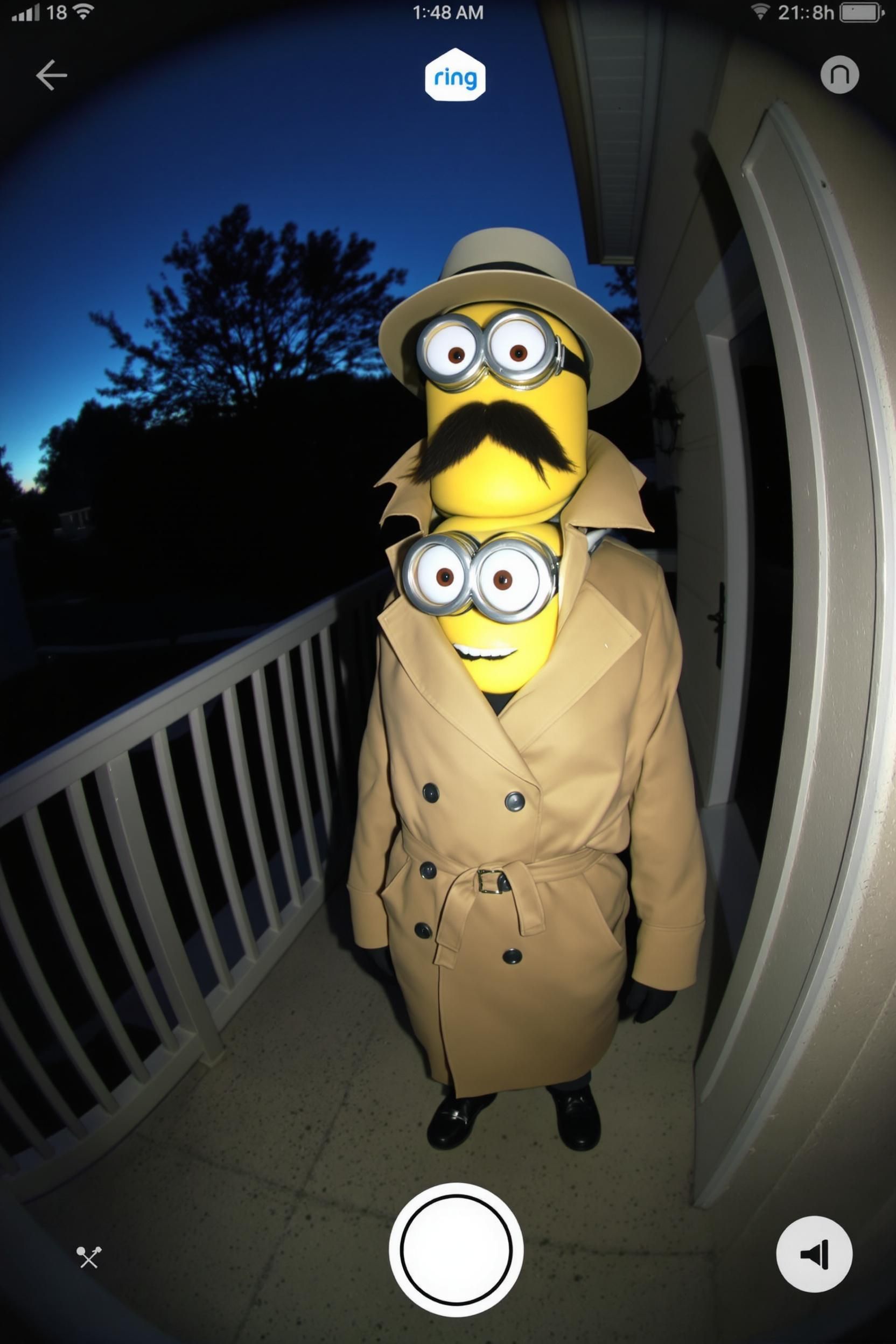 Ring Doorbell Video Of Three Minions In Trench Coat Attempting To Pose As One Adult Human