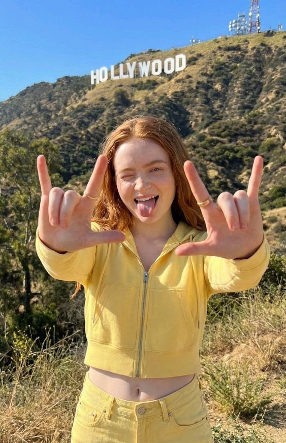 Playful Ginger Hollywood Hill
