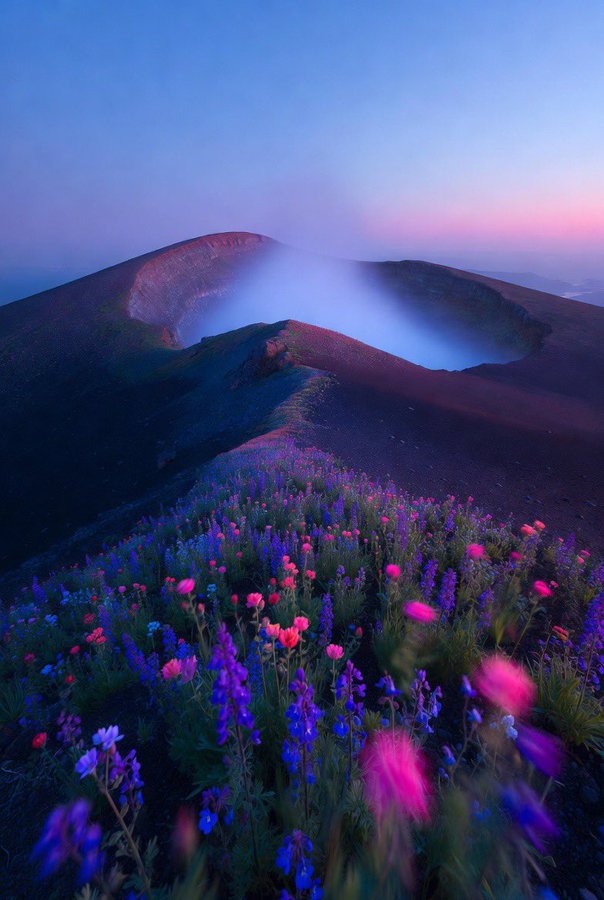 Dreamy Neon Flower Volcano Golden Hour