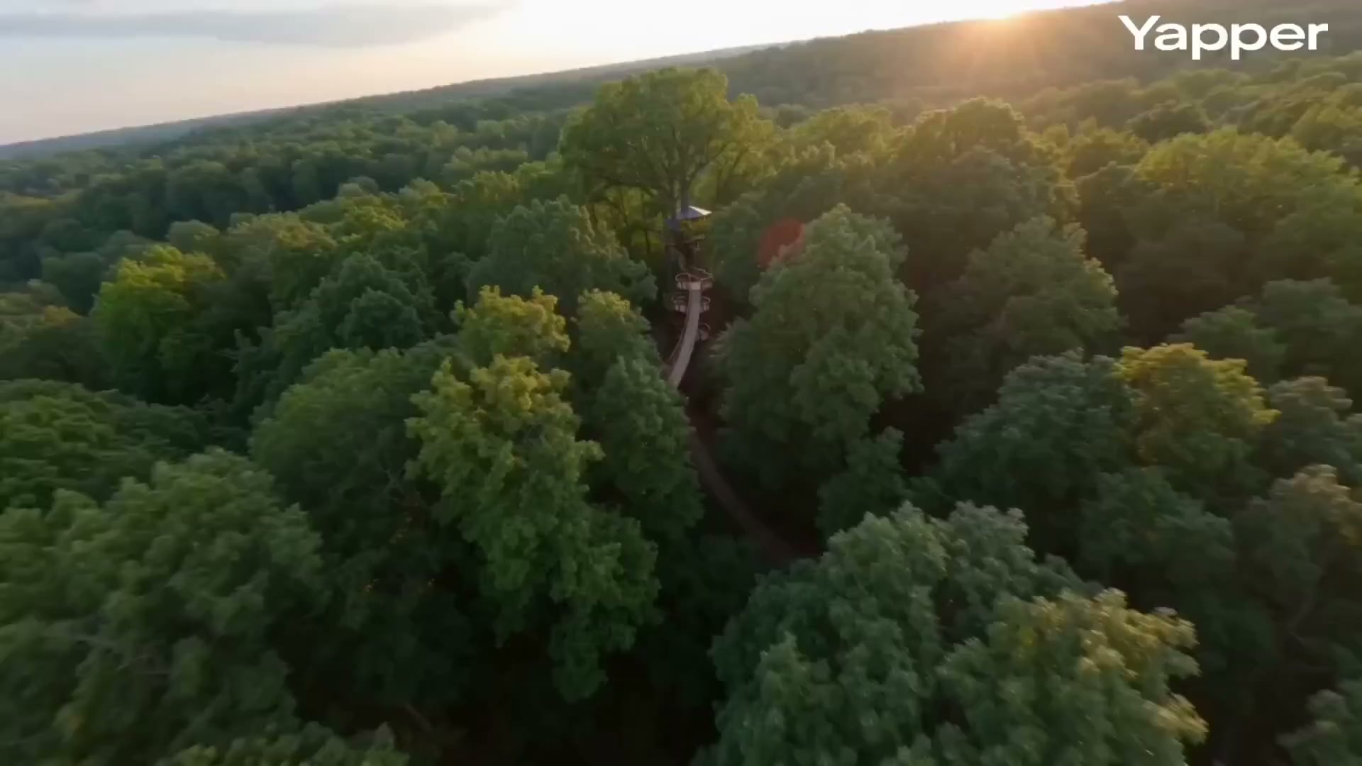 Golden Hour Forest Treehouse Fpv Flight