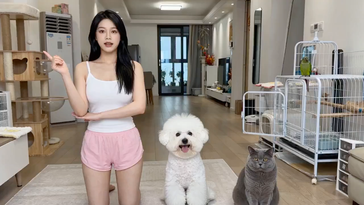 Cute Pets Acting For Food